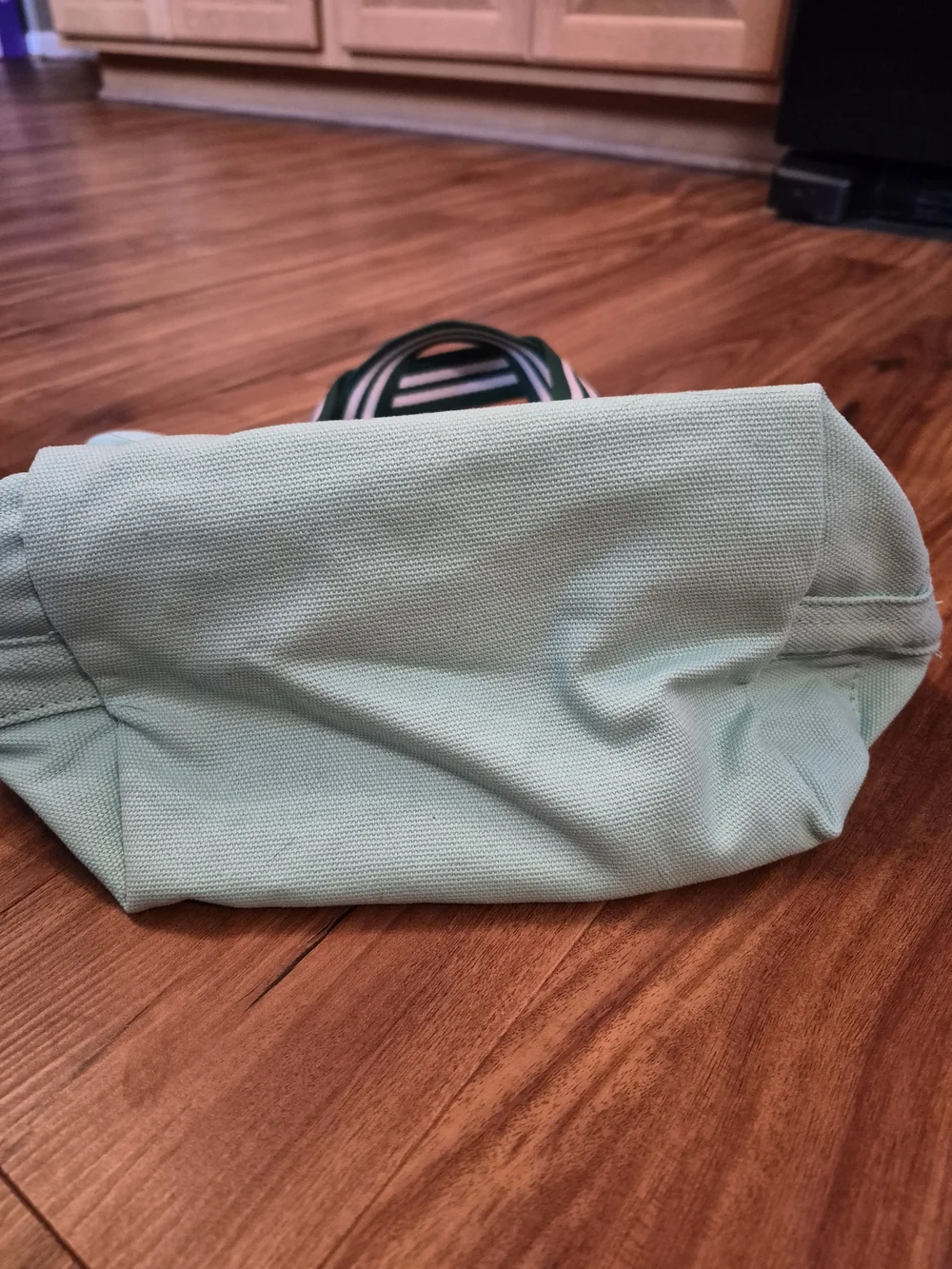 Starbucks Mint Green Canvas Tote with Striped Handles